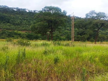 Farm & Agricultural Land