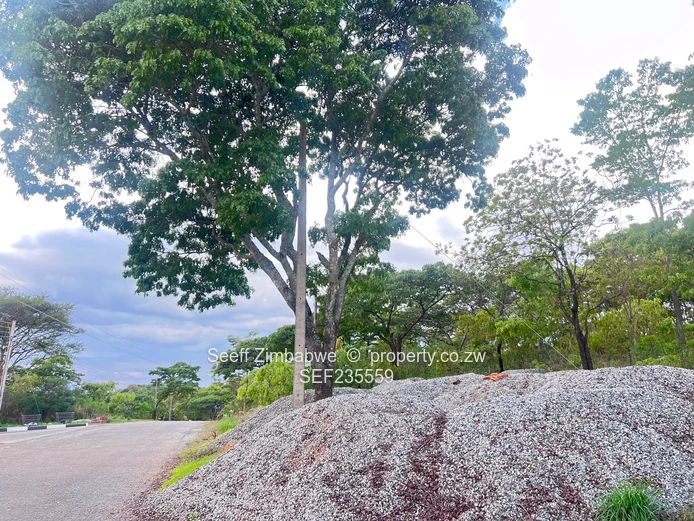 Prime land in Folyjon Crescent. Perfect location (Sole Mandate)