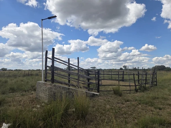 Farm & Agricultural Land