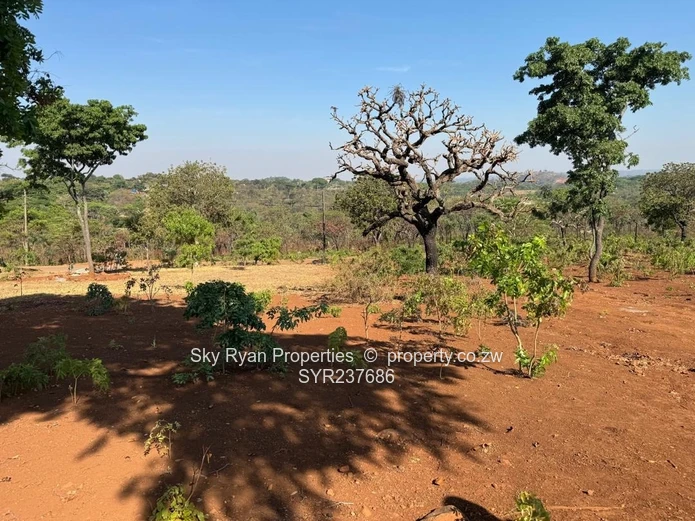 Shawasha Hills Estate Stands For Sale