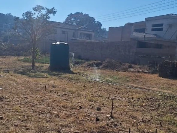 Stands & Residential Land