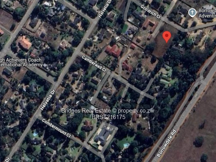 Dream Big, Build Bold.