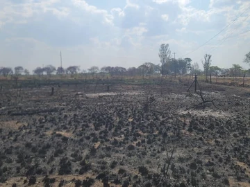 Commercial & Industrial Land