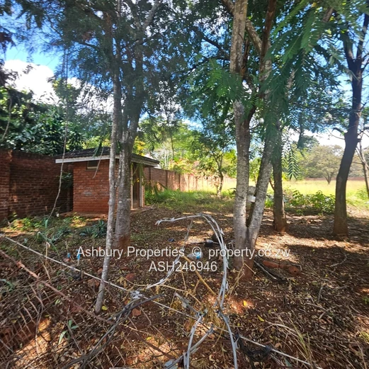 Prime Investment Opportunity in Mandara (Sole Mandate)