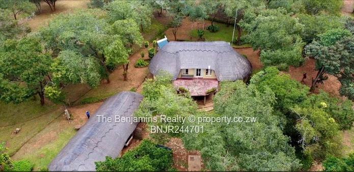 House for sale in Bushmead Masvingo (Sole Mandate)