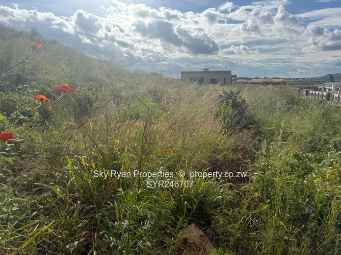 Marlborough, Sunset Views Stand For Sale