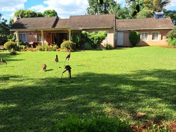 QUINNINGTON ,HELENSVALE $290k