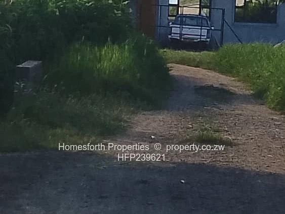 Investment Opportunity 