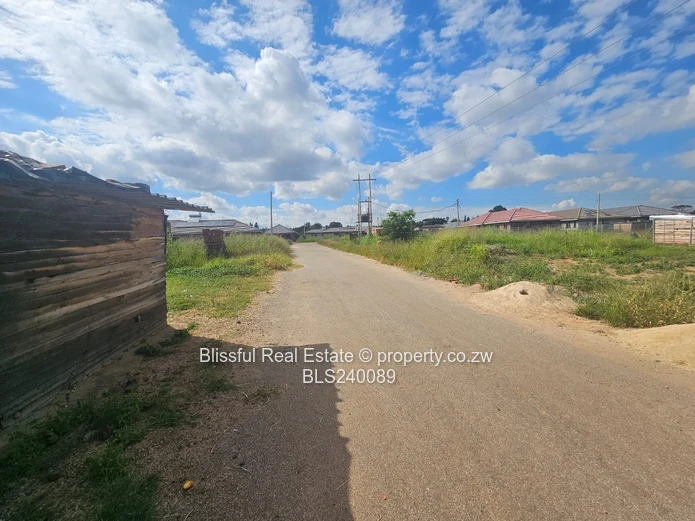 Stand for sale in Marimba