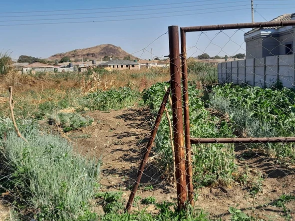 Stands & Residential Land