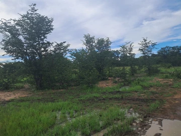 Farm & Agricultural Land