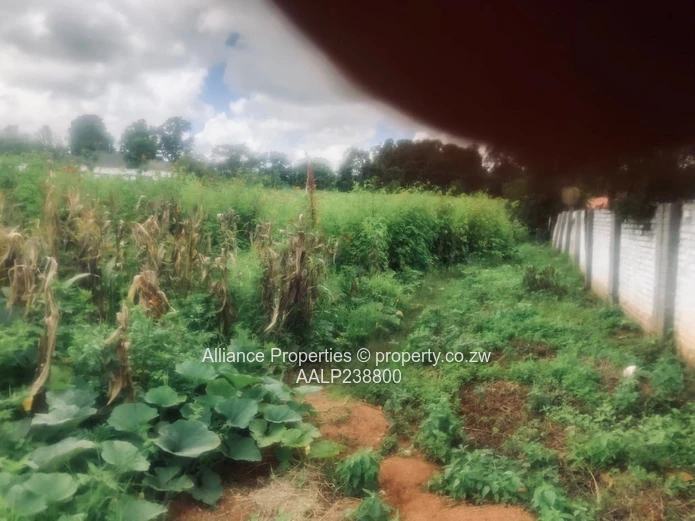 Elite Address, Infinite Potential: Prime Acre Stand in Borrowdale