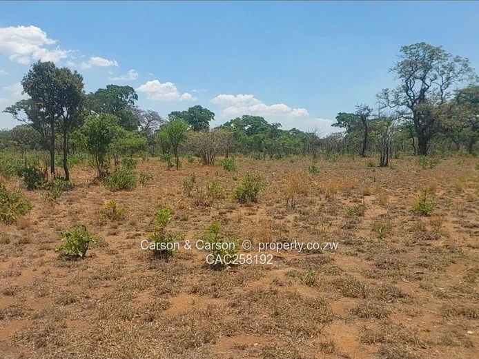 Harare Chinhoyi Road Frontage