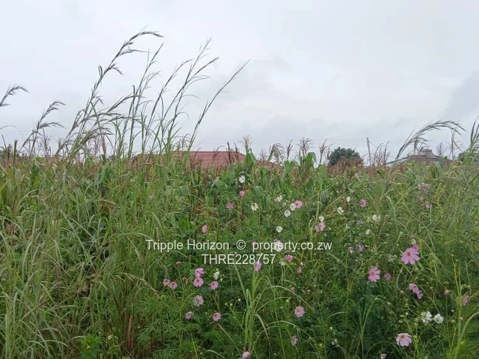 Investment opportunity 