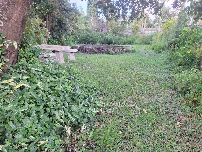 Corner Stand For Sale St Patrick's Road