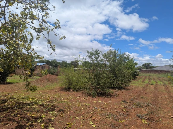 Commercial & Industrial Land