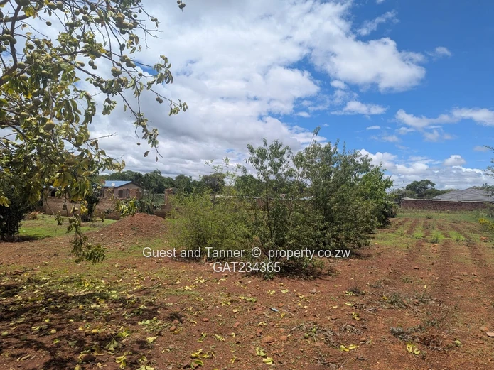 Commercial Land For Sale In Beatrice Township