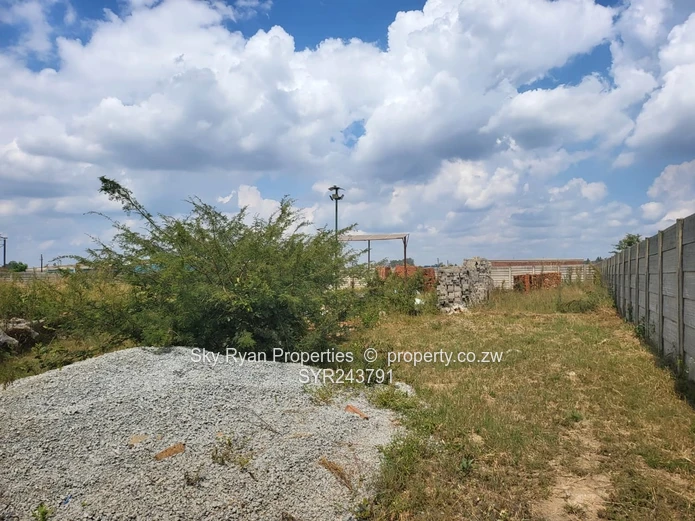 Whitehouse Commercial Stand For Sale