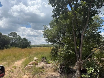Farm & Agricultural Land