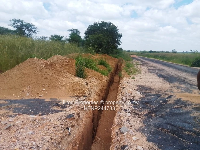 2 Stands at a bargain price