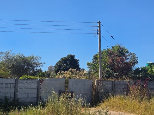 Farm & Agricultural Land