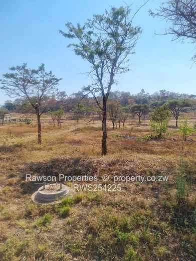 KINSLEY ESTATE 2000m² STAND FOR SALE!!!