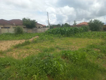 Stands & Residential Land