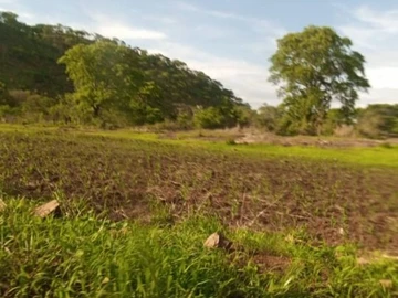 Farm & Agricultural Land