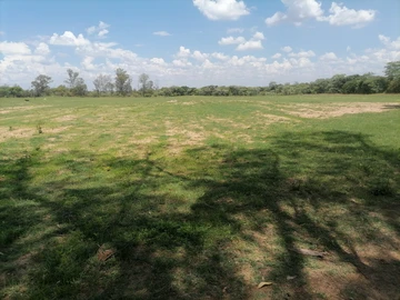 Farm & Agricultural Land