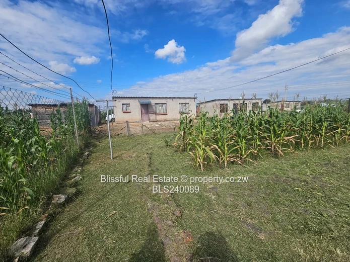 Stand for sale in Marimba