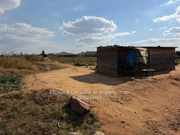 A stand for sale in Mwashuma Park, Norton 