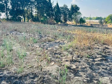 Farm & Agricultural Land