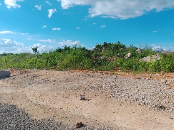 Commercial & Industrial Land