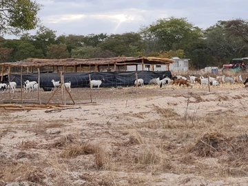 Farm & Agricultural Land