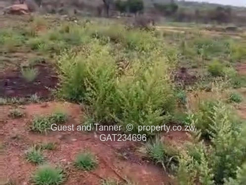 Ready to Build! Serviced Stand for Sale in Sunninghill near Bulawayo - Behind NUST (Isinga)