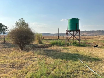 Stands & Residential Land