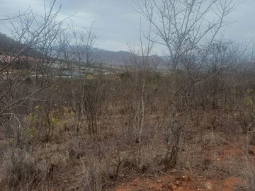 Farm & Agricultural Land