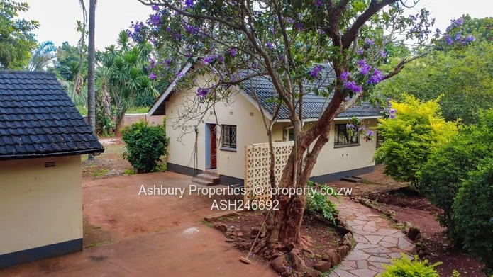 Renovators Dream Opportunity!!