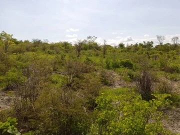 Farm & Agricultural Land