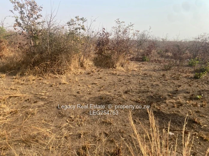 300m² Vacant Plot in Kadoma — Level, Clear Land