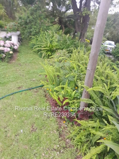 GLEN LORNE 7000sqm 500k