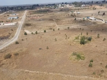 Farm & Agricultural Land