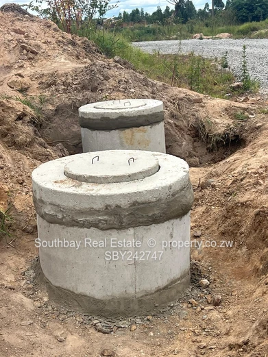 Investment Opportunity