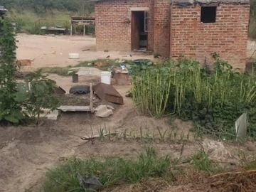 Farm & Agricultural Land
