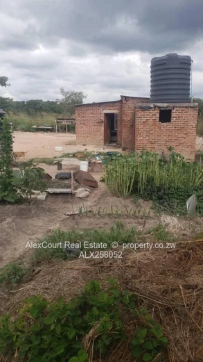 Discover This 1.3ha Agricultural Plot 