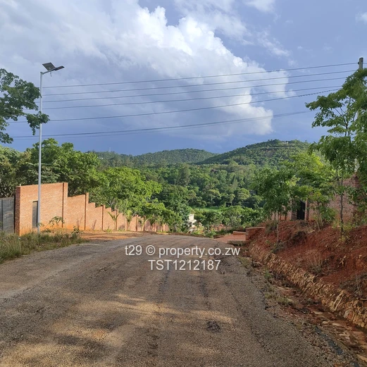 Borrowdale Carrick creagh estate stand for sale (Sole Mandate)