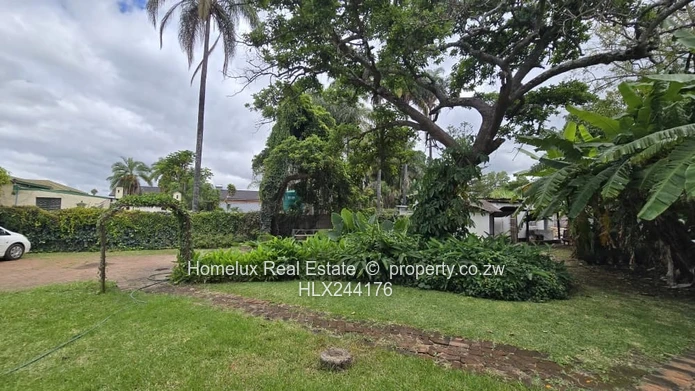 Double Storey House for Sale – Avondale (Prime Location)