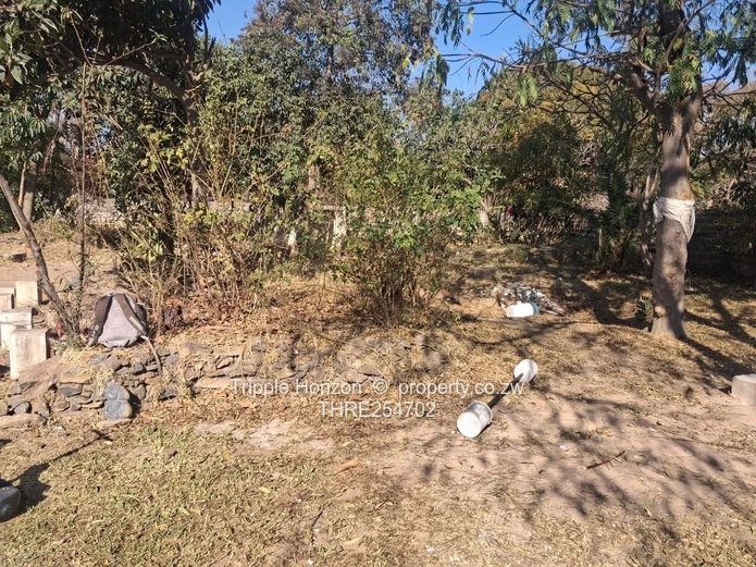 Hatfield Development Opportunity: 4-Bed on 3,127 sqm