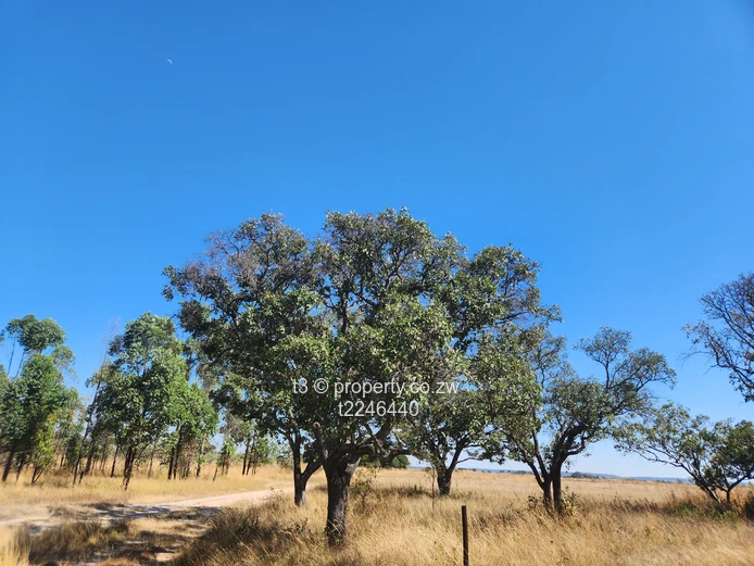  Darwendale Farm - 400 hectares 