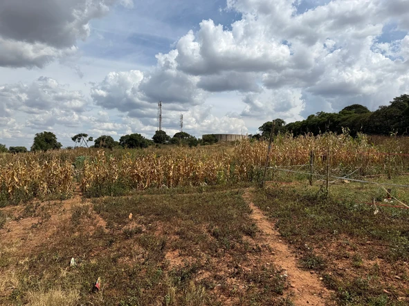 Commercial & Industrial Land